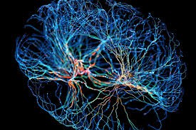 Neuroplasticitate și oglindă terapie